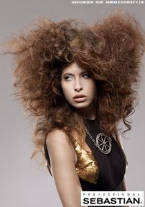 Frisuren Bilder: Wilde Locken für XXL-Afro-Look - Frisuren, Haare